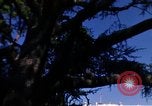 Image of Monuments Washington DC USA, 1968, second 43 stock footage video 65675043626