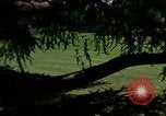 Image of Monuments Washington DC USA, 1968, second 52 stock footage video 65675043626