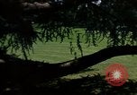 Image of Monuments Washington DC USA, 1968, second 53 stock footage video 65675043626