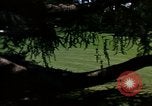 Image of Monuments Washington DC USA, 1968, second 54 stock footage video 65675043626
