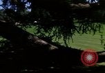 Image of Monuments Washington DC USA, 1968, second 56 stock footage video 65675043626