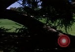 Image of Monuments Washington DC USA, 1968, second 57 stock footage video 65675043626