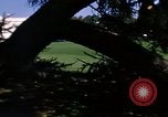 Image of Monuments Washington DC USA, 1968, second 58 stock footage video 65675043626