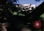 Image of Monuments Washington DC USA, 1968, second 60 stock footage video 65675043626