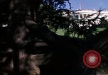 Image of Monuments Washington DC USA, 1968, second 62 stock footage video 65675043626
