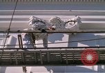 Image of Monuments Washington DC USA, 1968, second 41 stock footage video 65675043627
