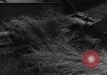 Image of American cities farms and industry in 1950 United States USA, 1953, second 8 stock footage video 65675043634