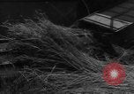 Image of American cities farms and industry in 1950 United States USA, 1953, second 9 stock footage video 65675043634