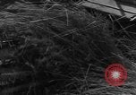 Image of American cities farms and industry in 1950 United States USA, 1953, second 11 stock footage video 65675043634