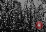 Image of American cities farms and industry in 1950 United States USA, 1953, second 14 stock footage video 65675043634