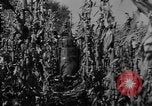 Image of American cities farms and industry in 1950 United States USA, 1953, second 16 stock footage video 65675043634