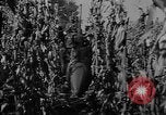 Image of American cities farms and industry in 1950 United States USA, 1953, second 17 stock footage video 65675043634