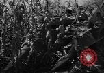 Image of American cities farms and industry in 1950 United States USA, 1953, second 20 stock footage video 65675043634