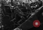 Image of American cities farms and industry in 1950 United States USA, 1953, second 22 stock footage video 65675043634