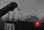 Image of American cities farms and industry in 1950 United States USA, 1953, second 26 stock footage video 65675043634