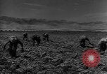 Image of American cities farms and industry in 1950 United States USA, 1953, second 37 stock footage video 65675043634