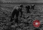 Image of American cities farms and industry in 1950 United States USA, 1953, second 39 stock footage video 65675043634