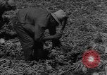 Image of American cities farms and industry in 1950 United States USA, 1953, second 42 stock footage video 65675043634