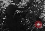 Image of American cities farms and industry in 1950 United States USA, 1953, second 44 stock footage video 65675043634