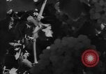 Image of American cities farms and industry in 1950 United States USA, 1953, second 48 stock footage video 65675043634