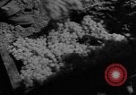 Image of American cities farms and industry in 1950 United States USA, 1953, second 49 stock footage video 65675043634