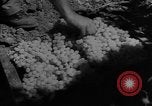Image of American cities farms and industry in 1950 United States USA, 1953, second 50 stock footage video 65675043634