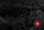 Image of United States soldiers in maneuvers United States USA, 1953, second 25 stock footage video 65675043638