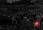 Image of United States soldiers in maneuvers United States USA, 1953, second 46 stock footage video 65675043638