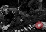 Image of Forces from different countries Europe, 1953, second 39 stock footage video 65675043639