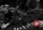 Image of Forces from different countries Europe, 1953, second 40 stock footage video 65675043639