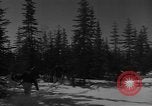 Image of United States troops United States USA, 1956, second 59 stock footage video 65675043640