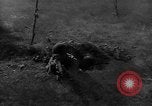 Image of American infantry engaged in live fire maneuvers United States USA, 1953, second 6 stock footage video 65675043641