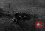 Image of American infantry engaged in live fire maneuvers United States USA, 1953, second 7 stock footage video 65675043641