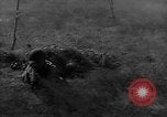 Image of American infantry engaged in live fire maneuvers United States USA, 1953, second 8 stock footage video 65675043641