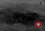 Image of American infantry engaged in live fire maneuvers United States USA, 1953, second 27 stock footage video 65675043641