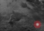 Image of American infantry engaged in live fire maneuvers United States USA, 1953, second 34 stock footage video 65675043641