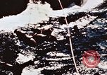 Image of United States carrier Pacific Theater, 1943, second 35 stock footage video 65675043689
