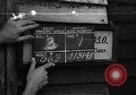 Standbild Women's Army Corps Kandy Ceylon, 1945, aus Sekunde 1 historischem Filmmaterial Videoclip 65675043701