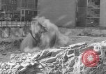 Image of construction at Rockefeller Center New York City USA, 1938, second 35 stock footage video 65675043737