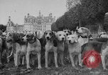 Standbild jährliche Saint Hubert's Hunt Compiegne Frankreich, 1938, aus Sekunde 5 historischem Filmmaterial Videoclip 65675043744