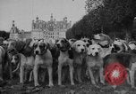 Standbild jährliche Saint Hubert's Hunt Compiegne Frankreich, 1938, aus Sekunde 6 historischem Filmmaterial Videoclip 65675043744