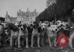 Standbild jährliche Saint Hubert's Hunt Compiegne Frankreich, 1938, aus Sekunde 7 historischem Filmmaterial Videoclip 65675043744