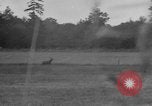 Standbild jährliche Saint Hubert's Hunt Compiegne Frankreich, 1938, aus Sekunde 15 historischem Filmmaterial Videoclip 65675043744