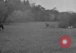 Standbild jährliche Saint Hubert's Hunt Compiegne Frankreich, 1938, aus Sekunde 17 historischem Filmmaterial Videoclip 65675043744
