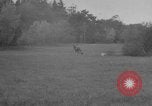 Standbild jährliche Saint Hubert's Hunt Compiegne Frankreich, 1938, aus Sekunde 18 historischem Filmmaterial Videoclip 65675043744