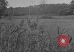 Standbild jährliche Saint Hubert's Hunt Compiegne Frankreich, 1938, aus Sekunde 19 historischem Filmmaterial Videoclip 65675043744