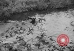 Standbild jährliche Saint Hubert's Hunt Compiegne Frankreich, 1938, aus Sekunde 21 historischem Filmmaterial Videoclip 65675043744
