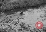 Standbild jährliche Saint Hubert's Hunt Compiegne Frankreich, 1938, aus Sekunde 22 historischem Filmmaterial Videoclip 65675043744