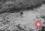 Standbild jährliche Saint Hubert's Hunt Compiegne Frankreich, 1938, aus Sekunde 23 historischem Filmmaterial Videoclip 65675043744