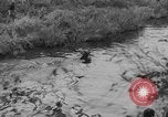 Standbild jährliche Saint Hubert's Hunt Compiegne Frankreich, 1938, aus Sekunde 24 historischem Filmmaterial Videoclip 65675043744